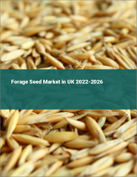 表紙：飼料用種子の英国市場（2022年～2026年）
