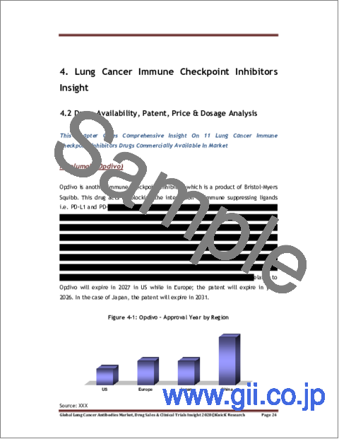 サンプル2：肺癌用抗体の世界市場：医薬品販売と臨床試験に関する洞察（2028年）