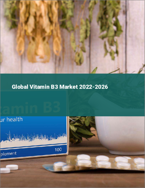 表紙：ビタミンB3の世界市場：2022年～2026年