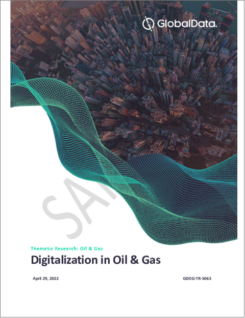 表紙：石油・天然ガスのデジタル化：テーマ別研究