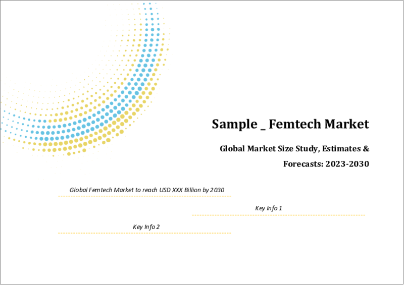 表紙：フェムテックの世界市場（2022年～2028年）：製品タイプ別、地域別の市場規模調査と予測