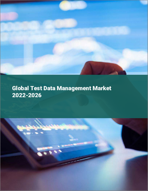 表紙：世界のテストデータ管理市場：2022年～2026年
