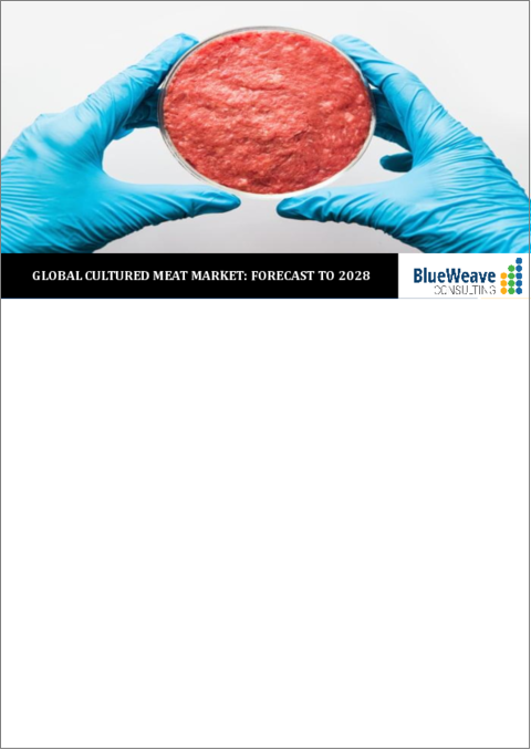 表紙：培養肉の世界市場：製品別、用途別、流通チャネル別、エンドユーザー別、地域別、動向分析、競合市場シェアおよび予測（2018年～2028年）