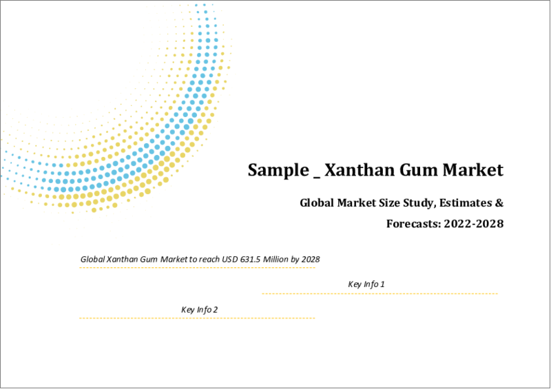 表紙：キサンタンガムの世界市場規模：用途・機能・地域別の予測（2022年～2028年）