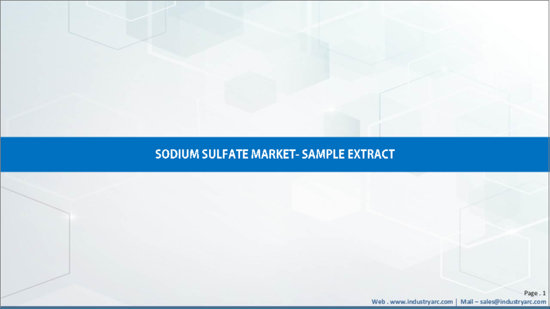 表紙：硫酸ナトリウムの世界市場