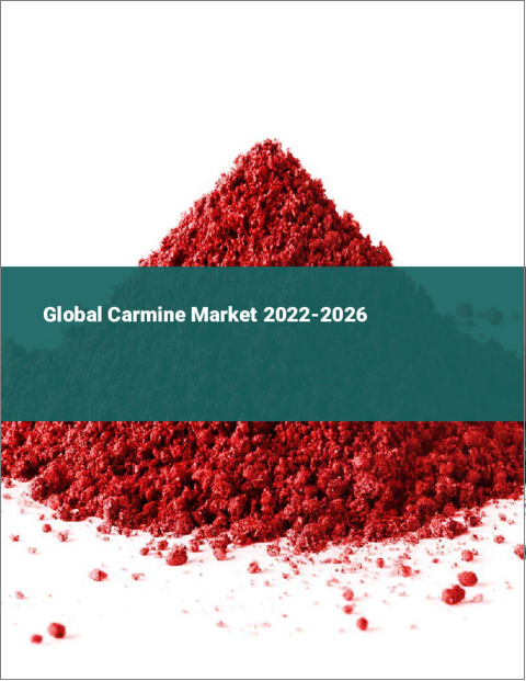 表紙：カルミンの世界市場：2022年～2026年