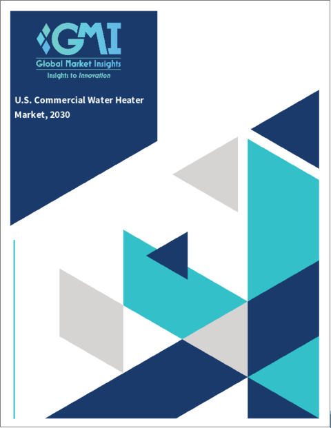 表紙：米国の商用給湯器市場 (2022-2030年)：市場規模 (製品・容量・エネルギー源・用途別)・地域的展望・用途の潜在性・市場シェア・予測