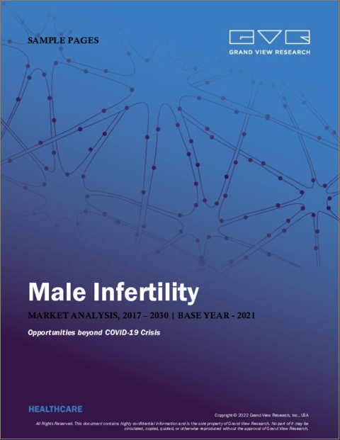 表紙：男性不妊症の市場規模・市場シェア・動向分析 (2022-2030年)：検査 (DNA断片化技術・酸化ストレス分析・顕微鏡検査)・治療・地域別