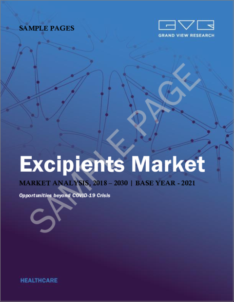 表紙：賦形剤の市場規模・市場シェア・動向分析 (2022-2030年)：タイプ (ポリマー・アルコール・糖・ミネラル・ゼラチン)・地域別