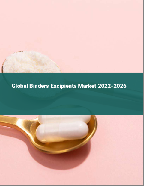 表紙：バインダー添加剤の世界市場：2022年～2026年