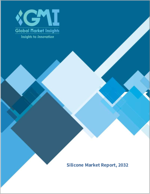 表紙：シリコーンの世界市場 (2022-2030年)：市場規模 (製品・用途別)・地域的展望・用途の潜在性・価格動向・市場シェア・予測