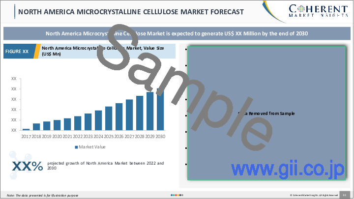 サンプル2：微結晶セルロースの市場規模・シェア・展望・機会 (2022年～2030年)：原料タイプ・エンドユーザー産業・地域別