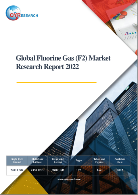 表紙：フッ素ガス (F2) の世界市場の分析 (2022年)