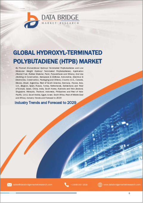 表紙：末端水酸基ポリブタジエン（HTPB）の世界市場 - 業界動向と2029年までの予測