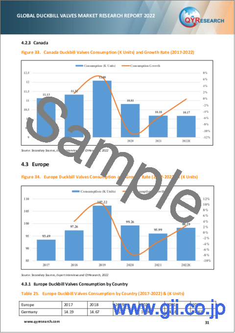 サンプル2：ダックビルバルブの世界市場の分析 (2022年)