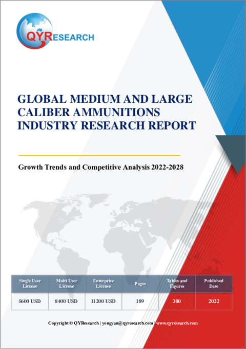 表紙：世界の中口径・大口径弾薬産業の分析、成長動向、競合分析 (2022年～2028年)