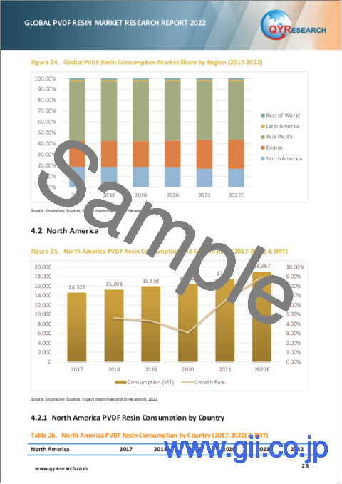 サンプル2：PVDF樹脂の世界市場の分析 (2022年)