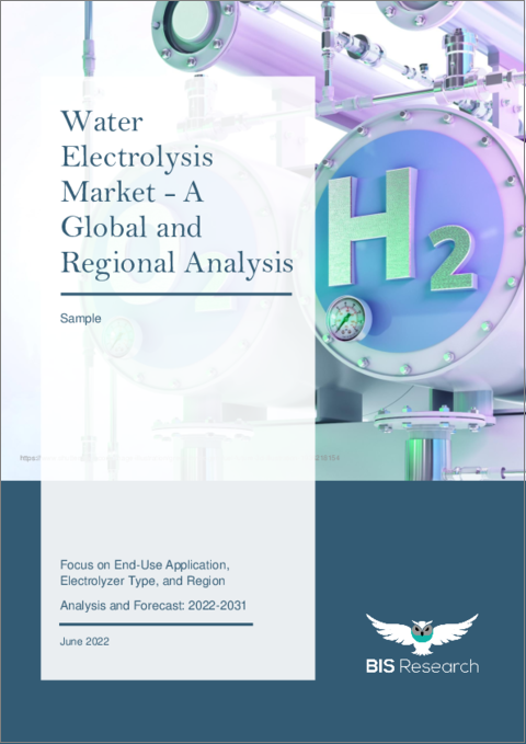 表紙：水電解市場 - 世界と地域別分析：最終用途別、電解槽タイプ別、地域別（分析と予測：2022年～2031年）