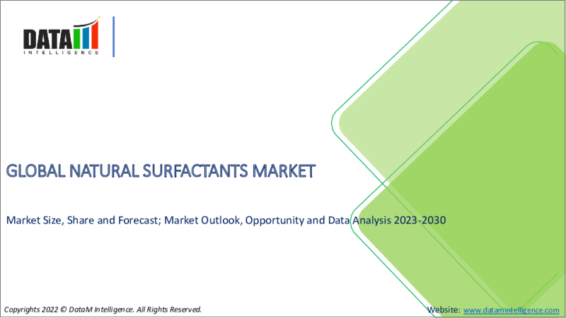 表紙：天然界面活性剤の世界市場（2022年～2029年）