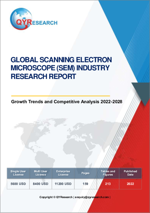 表紙：走査型電子顕微鏡 (SEM) の世界市場：産業分析、成長動向、競合分析 (2022年～2028年)