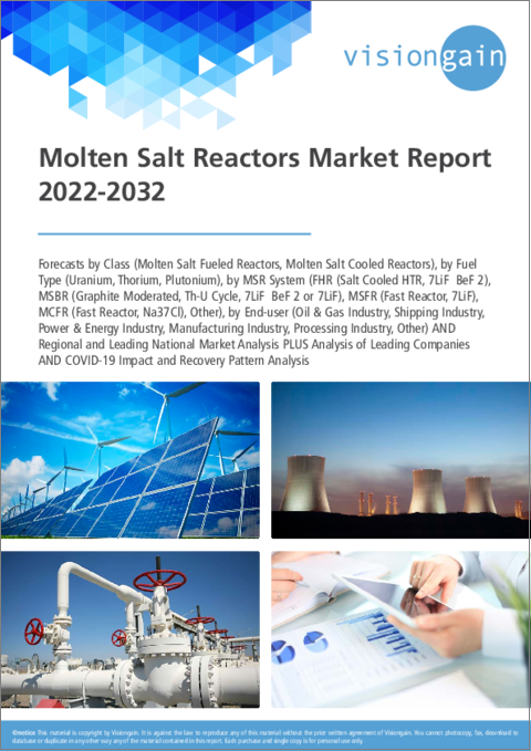 表紙：溶融塩原子炉の世界市場の分析 (2022年～2032年)