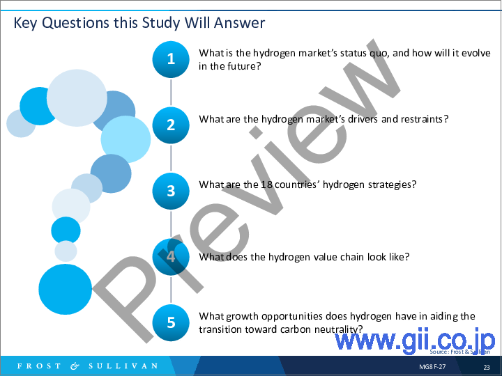 サンプル1：世界の水素市場 : 規制枠組みおよび成長機会