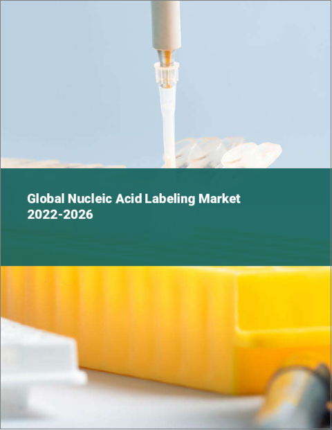 表紙：核酸ラベリングの世界市場（2022年～2026年）