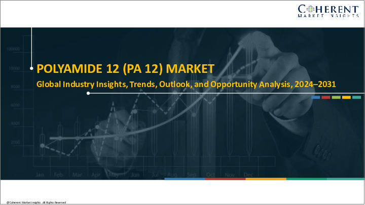 表紙：ポリアミド12市場レポート：最終用途産業別、地域別、市場規模、シェア、展望、機会分析、2022年～2030年