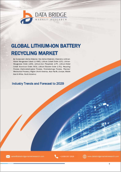 表紙：リチウムイオン電池リサイクルの世界市場 - 産業動向・2029年までの予測