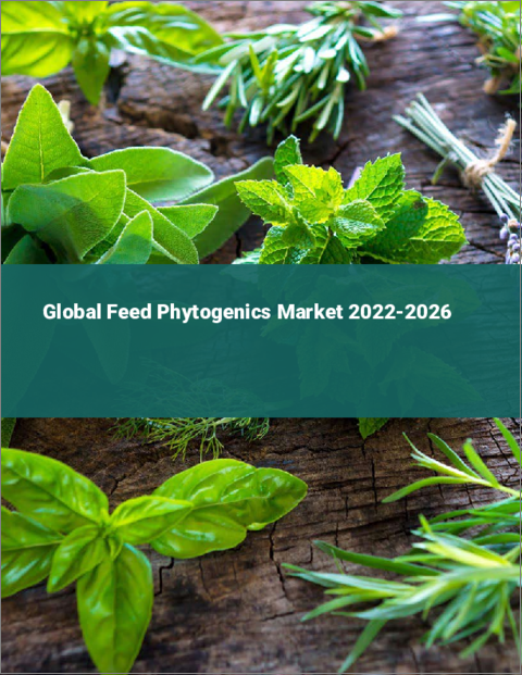表紙：植物性飼料添加物の世界市場：2022年～2026年