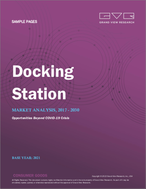 表紙：ドッキングステーション市場規模・シェア・動向分析レポート製品別（ノートPC、スマートフォン）、接続性別（有線、無線）、流通チャネル別（オンライン、オフライン）、地域別、セグメント別予測、2022年～2030年