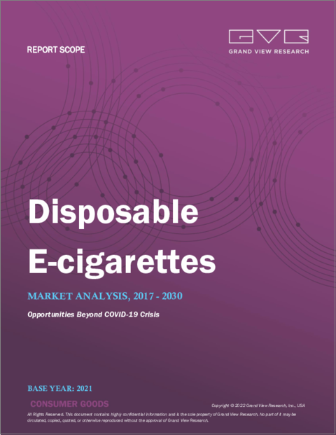 表紙：使い捨て電子タバコの市場規模、シェア、動向分析レポート：フレーバー別（非タバコ、タバコ）、流通チャネル別、地域別、セグメント別予測、2022年～2030年