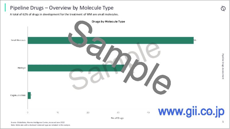 サンプル2：ワルデンシュトレーム・マクログロブリン血症（WM）の世界市場：市販薬とパイプライン薬の評価、臨床試験、競合情勢