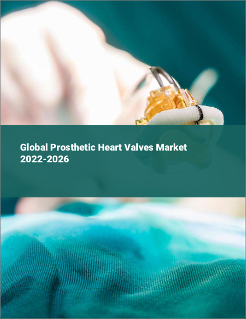 表紙：人工心臓弁の世界市場 2022-2026年