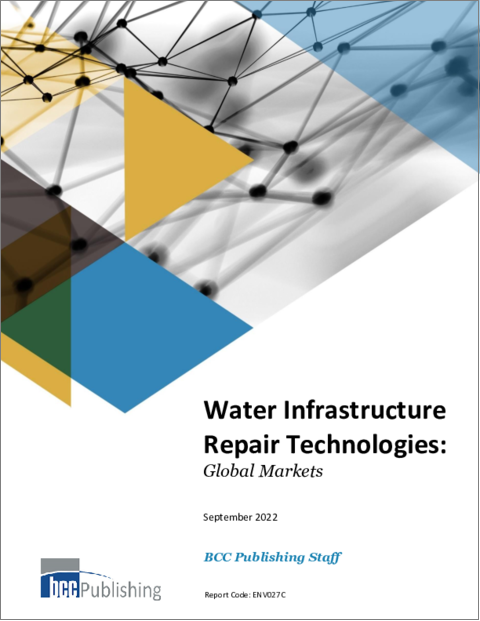表紙：水道インフラ修繕技術の世界市場