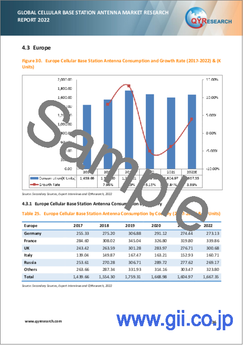 サンプル2：携帯電話基地局アンテナの世界市場の分析 (2022年)