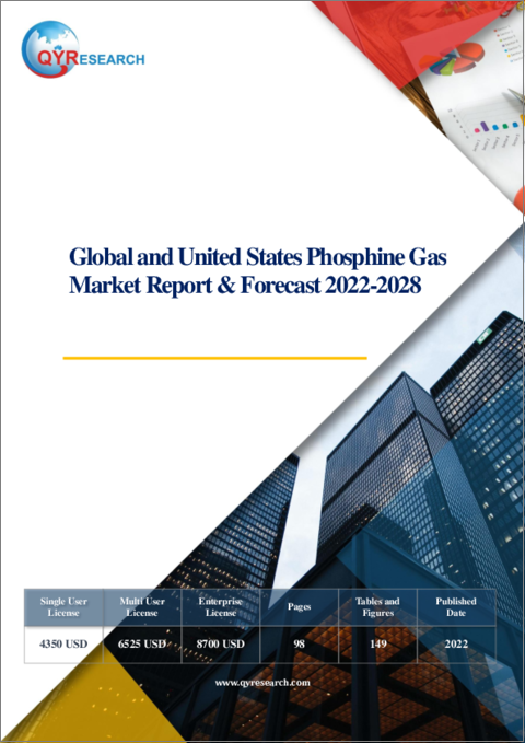表紙：世界と米国のホスフィンガス市場：分析・予測 (2022年～2028年)