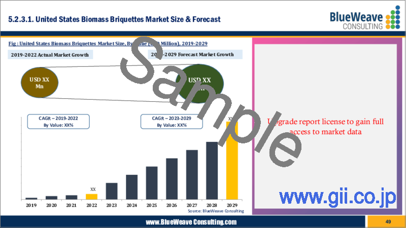 サンプル2：バイオマスブリケットの世界市場：タイプ別、用途別、地域別、動向分析、競合の市場シェア、予測（2018年～2028年）