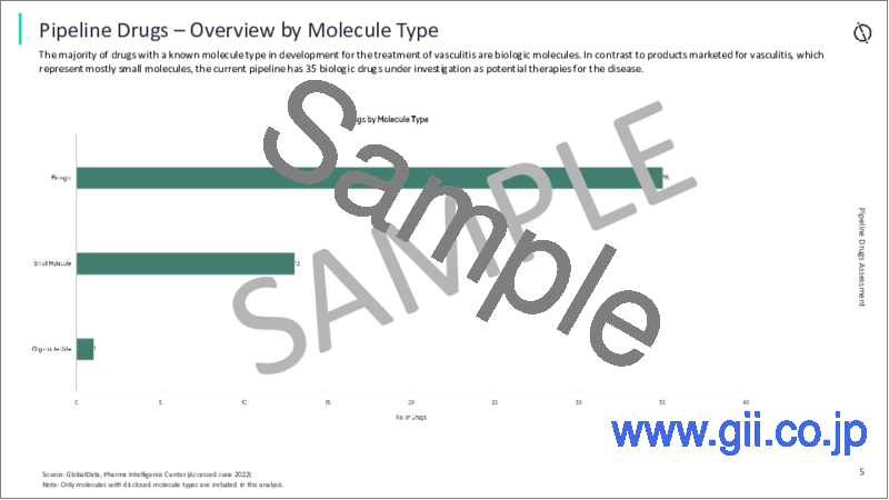 サンプル2：血管炎市場：上市済み薬剤およびパイプライン薬剤評価、臨床試験、競合情勢