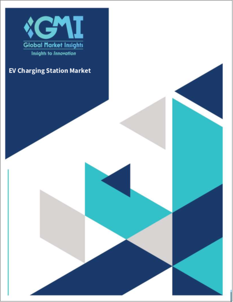 表紙：EV充電ステーションの世界市場 (2022年～2030年)：市場規模 (電流 (AC (レベル1・2)・DC (DC高速)・充電サイト (公共・個人) 別)・地域的展望・用途の潜在性・競合市場シェア・予測