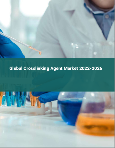 表紙：架橋剤の世界市場 2022-2026