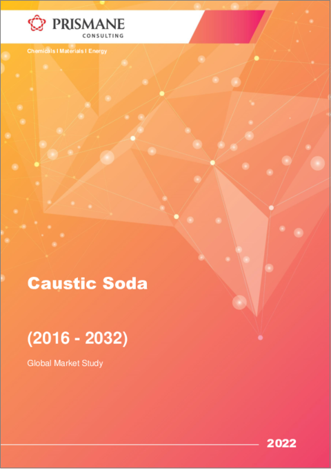 表紙：苛性ソーダの世界市場：2016年～2032年
