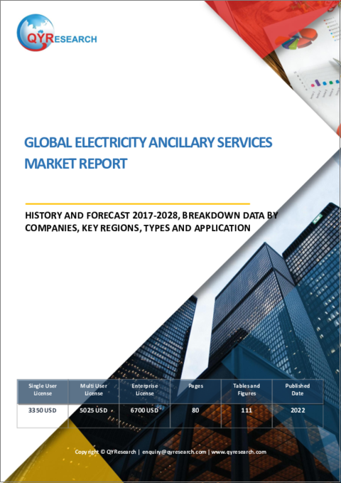表紙：電力アンシラリーサービスの世界市場：分析・沿革・予測 (2017年～2028年)