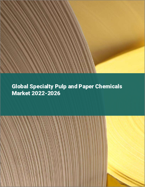 表紙：特殊パルプおよび紙用化学品の世界市場 2022-2026