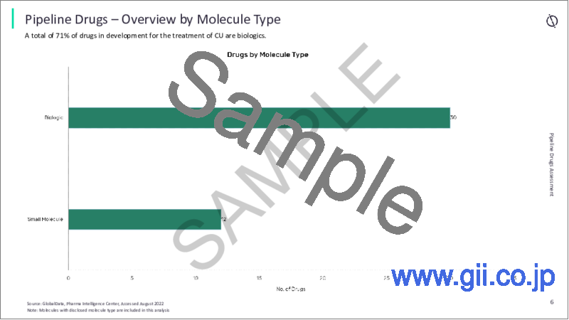 サンプル2：蕁麻疹市場：上市済み薬剤およびパイプライン薬剤の評価、臨床試験、競合情勢