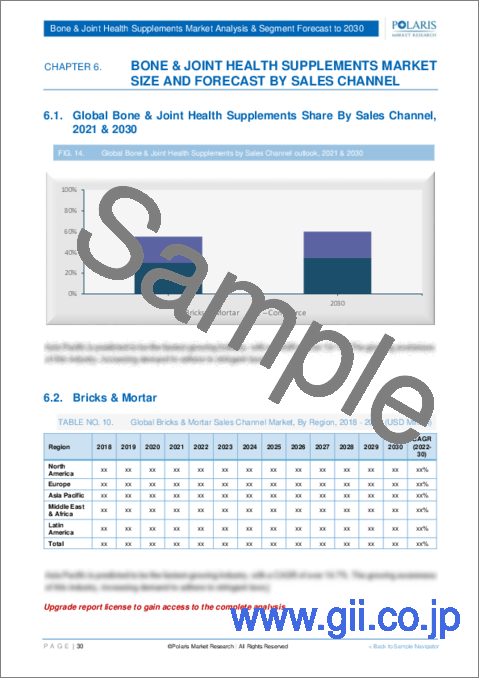 サンプル2：骨・関節用健康サプリメントの市場のシェア・規模・動向・産業分析・予測 (2022年～2030年)：剤形 (カプセル・ソフトジェル・タブレット・粉末・その他)・製品・消費者層・販売チャネル・地域別