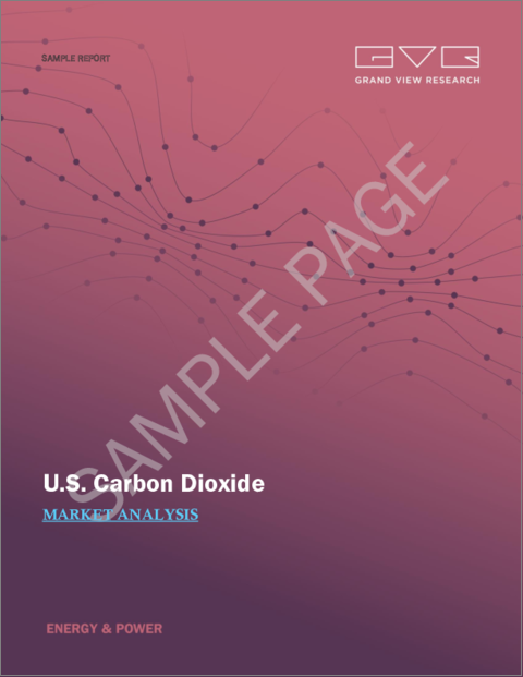 表紙：米国の二酸化炭素市場規模、シェア、動向分析レポート：供給源別（水素、エチルアルコール、酸化エチレン、代替天然ガス）、用途別（飲食品、石油・ガス、医療）、セグメント別予測、2022年～2030年