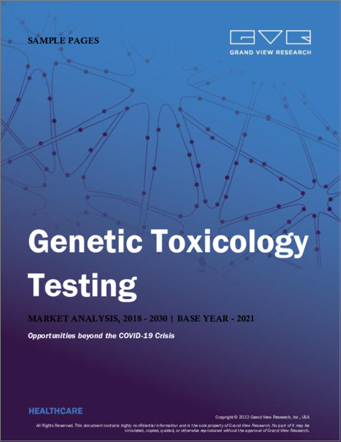 表紙：遺伝子毒性試験の市場規模、シェア、動向分析レポートタイプ別（インビトロ、インビボ）、製品別（試薬・消耗品、アッセイ、サービス）、用途別、地域別、セグメント別予測、2022年～2030年