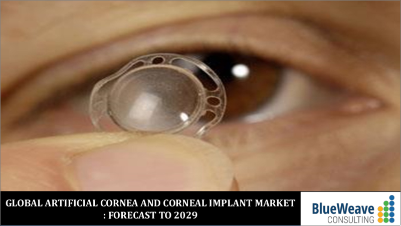 表紙：人工角膜・角膜インプラントの世界市場：タイプ別、移植タイプ別、適応疾患別、エンドユーザー別の動向分析、競合の市場シェア、予測（2018年～2028年）