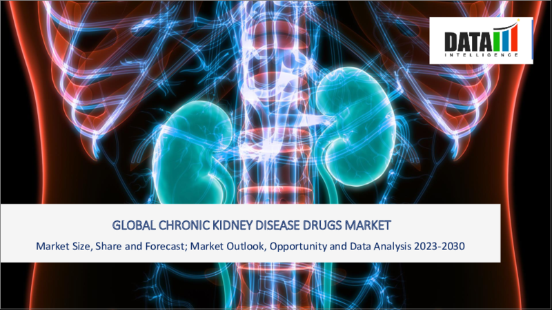 表紙：慢性腎臓病治療薬の世界市場-2022-2029